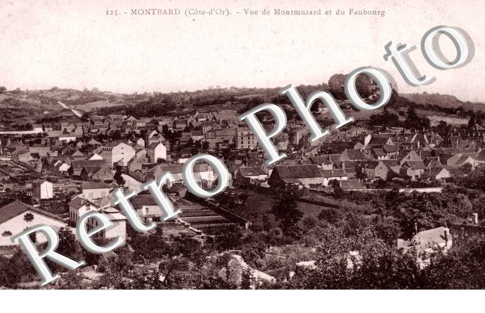 Vue de Montmuzard et du Faubourg