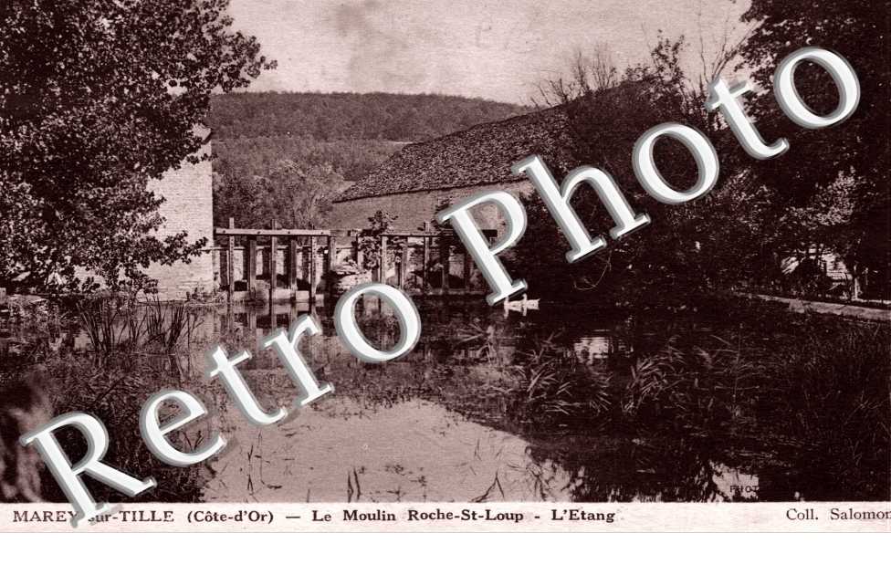 le moulin Roche-Saint Loup, l'etang
