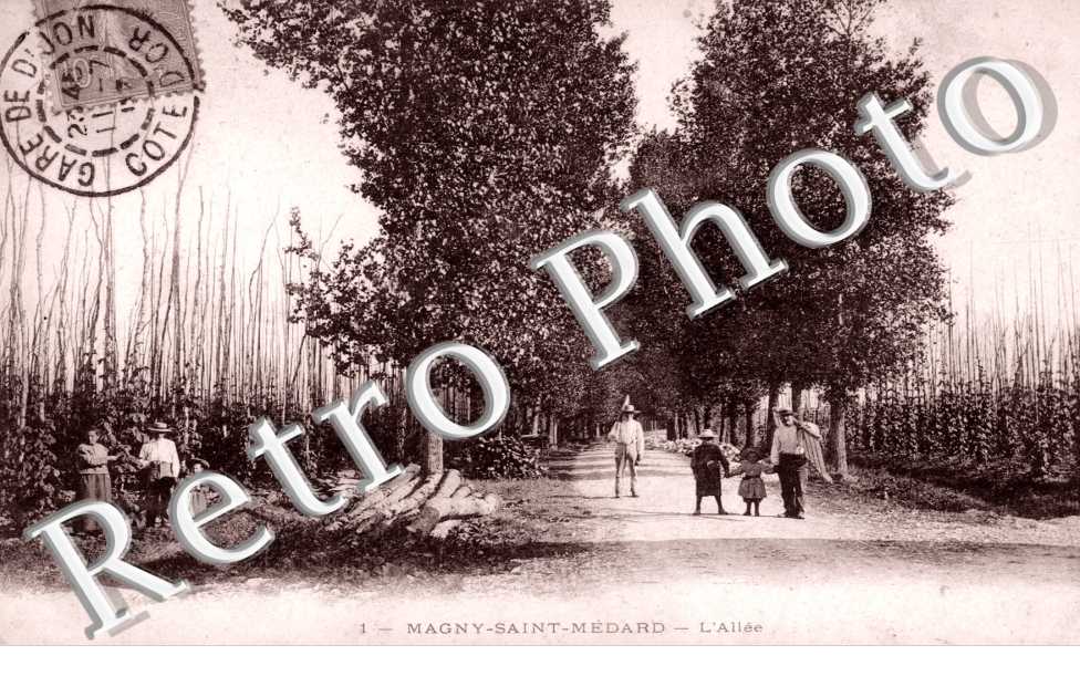 L'Allee