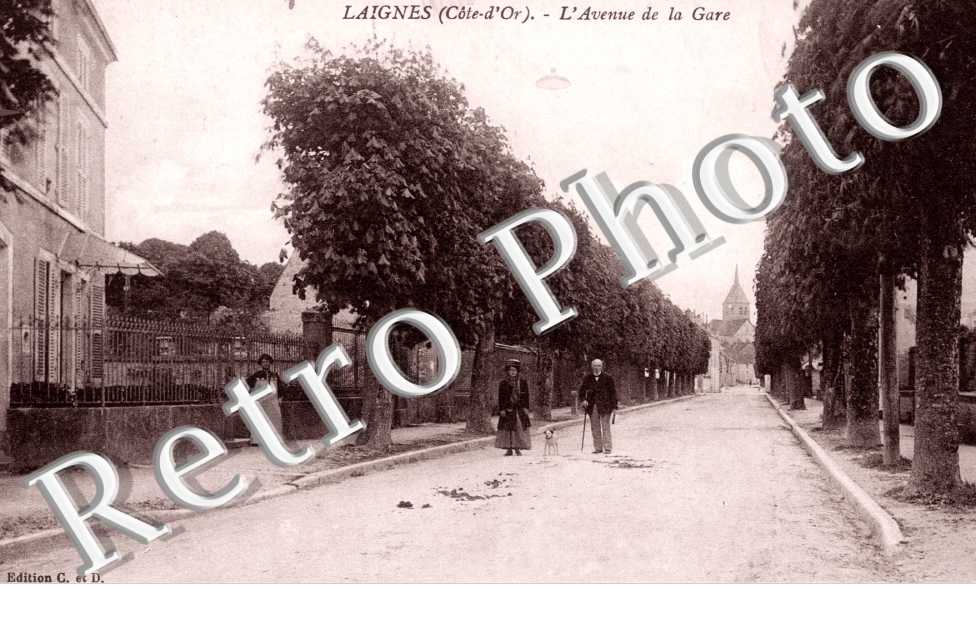 l'avenue de la gare