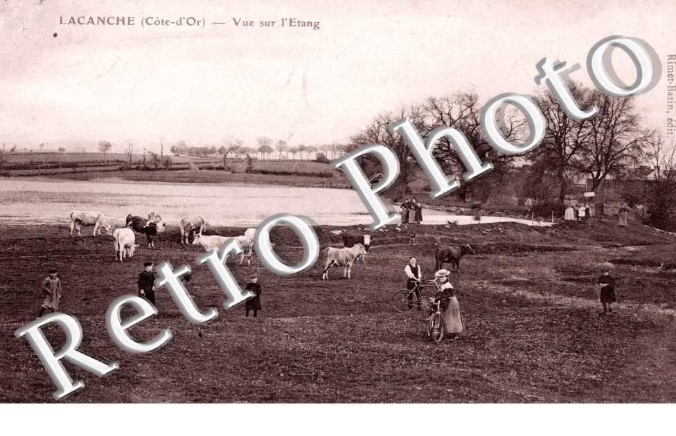 Vue sur l'Etang