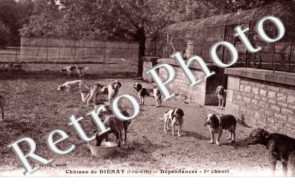 Le Chenil du Chateau