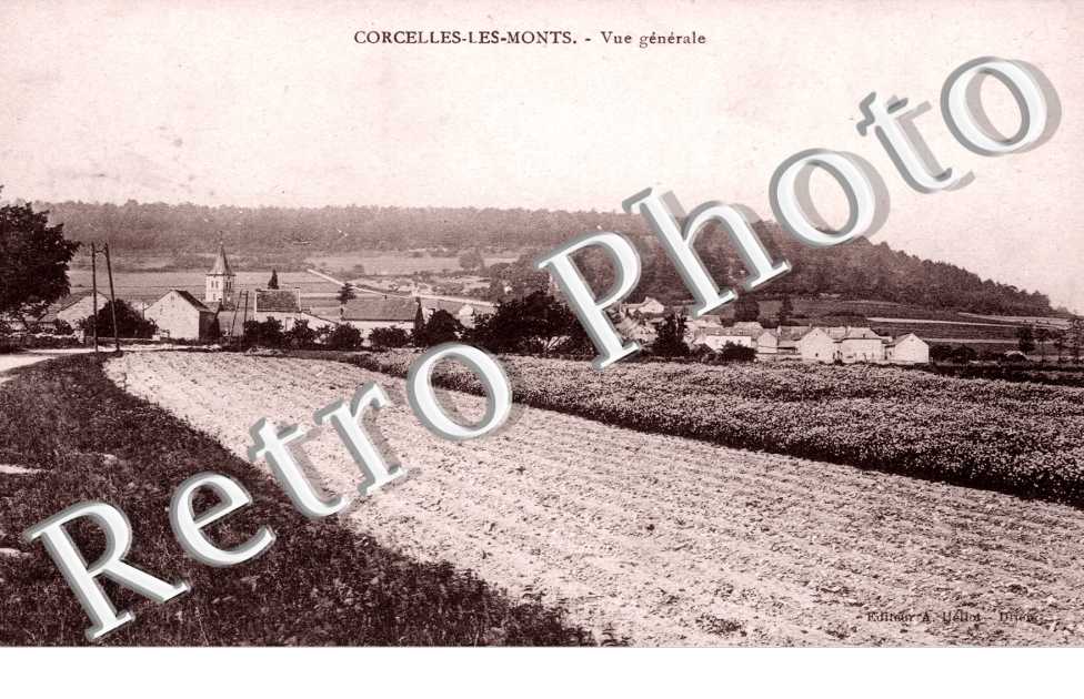 Vue generale