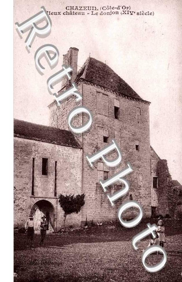 Le Donjon du Vieux Chateau