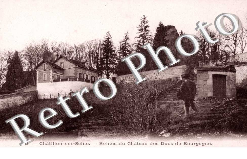 RUines du Chjateau des ducs de Bourgogne