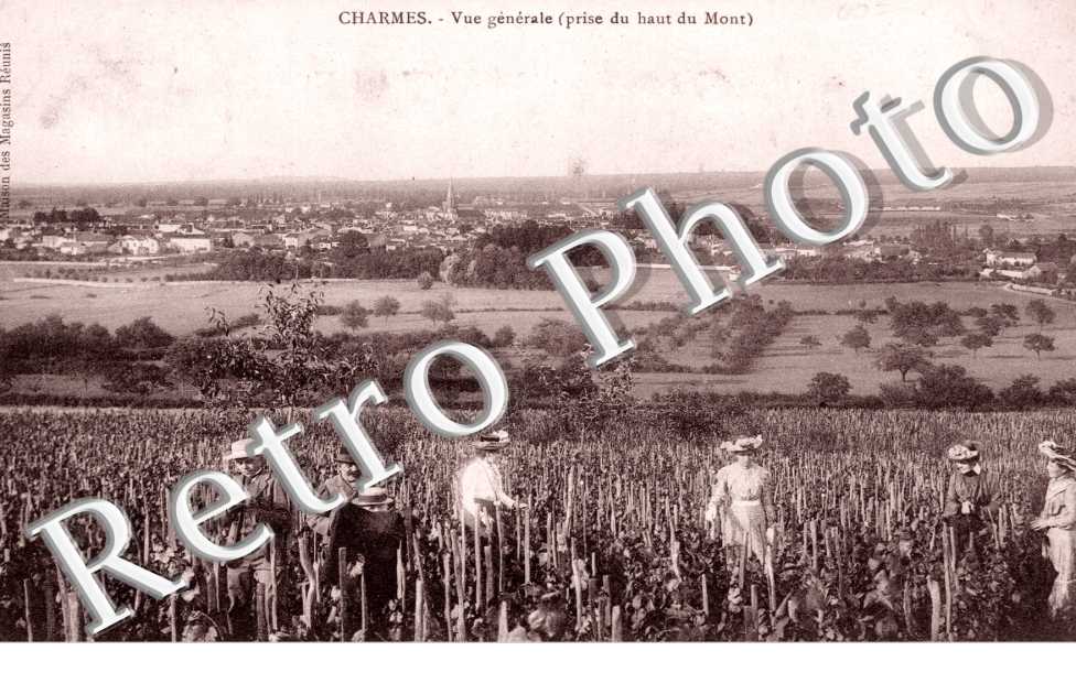 Vue generale
