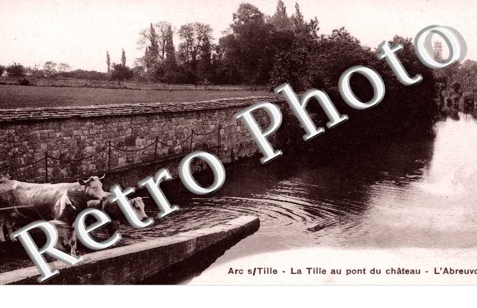 La Tille au pont du chateau