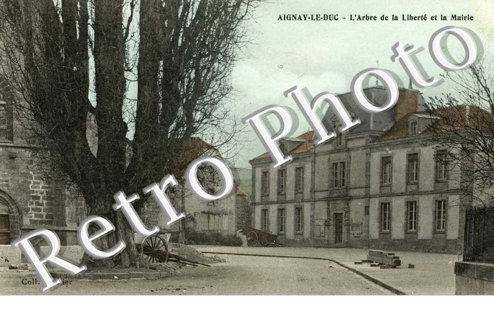 l'arbre de la liberte et la mairie (couleur)