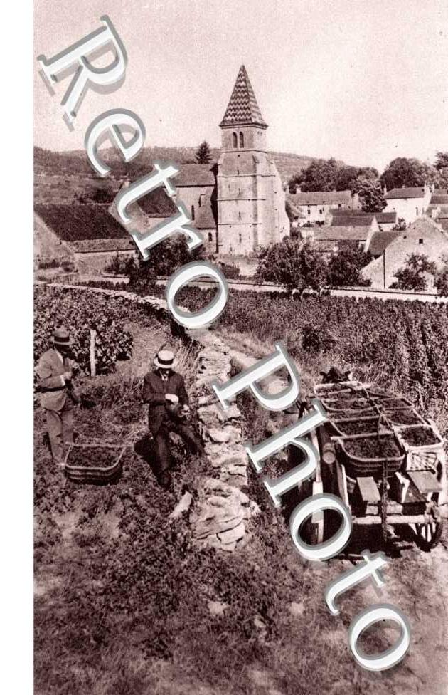 Les vendanges - transport du raisin