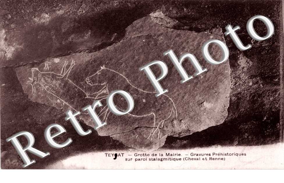 Grotte de la mairie - gravures prehistoriques