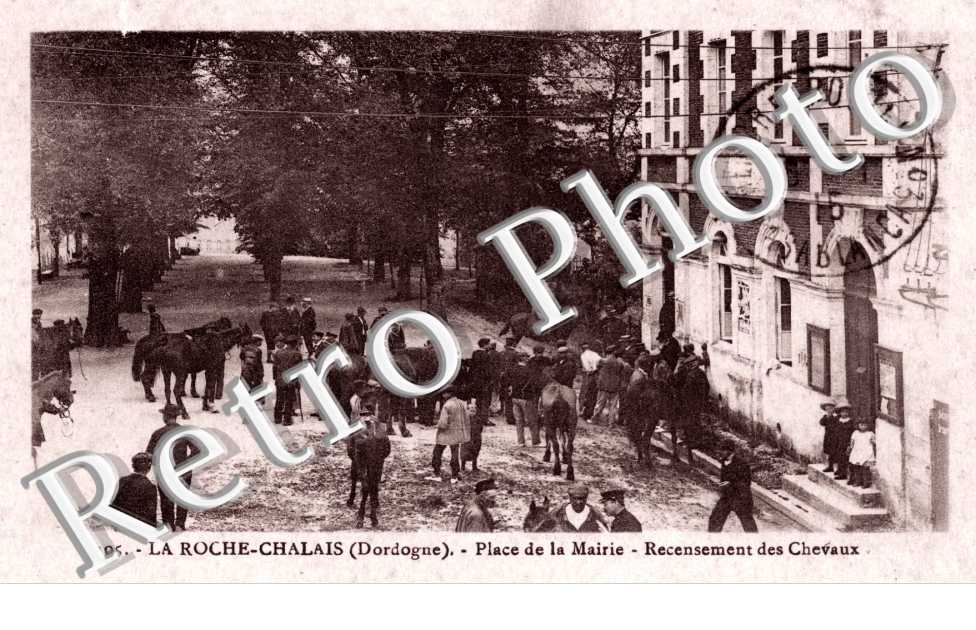 Place de la mairie - recensement des chevaux
