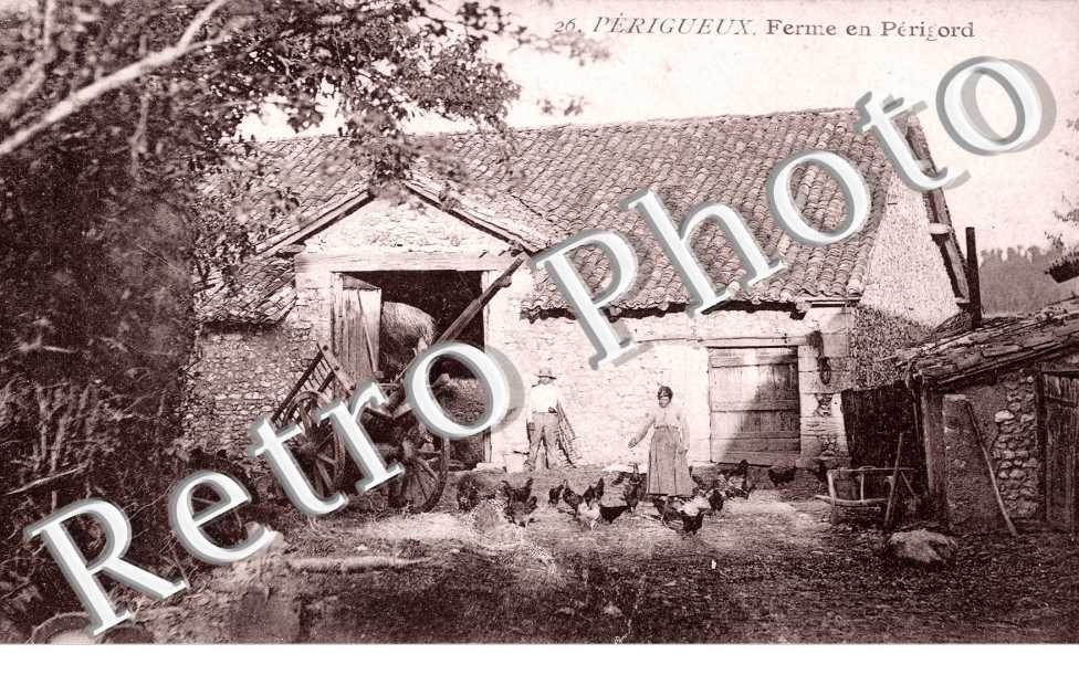 Ferme