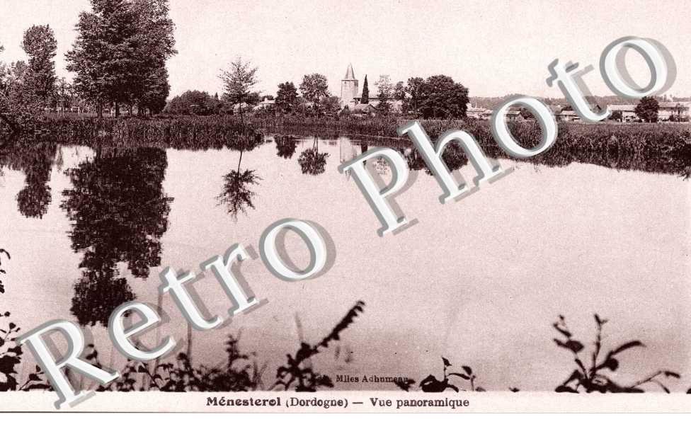Vue Panoramique