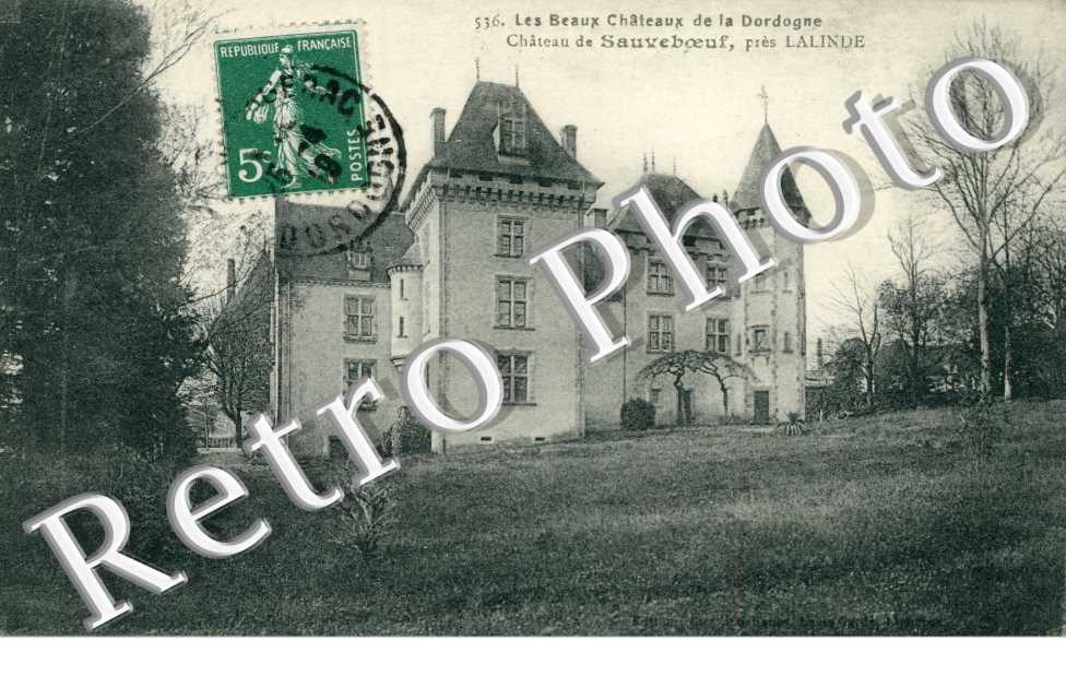 chateau  de sauveboeuf