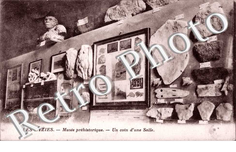 musee prehistorique un coin d'une salle