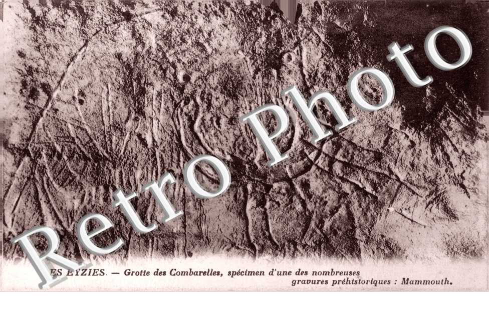 Grotte de Font de Gaume. 