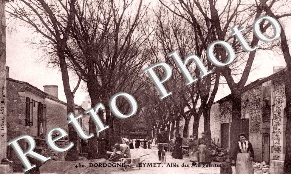 Allee des marguerites