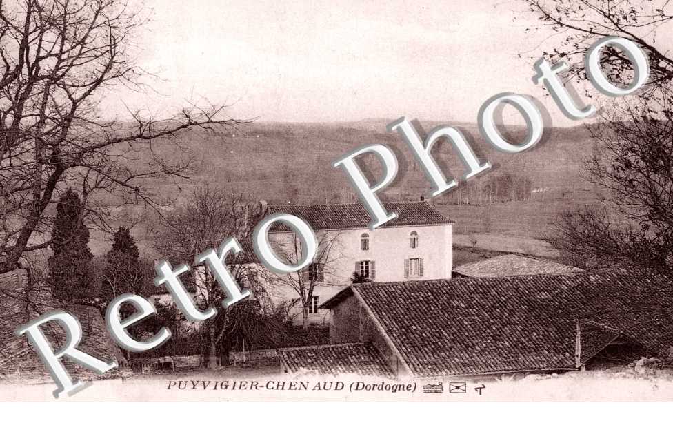 Puyvigier