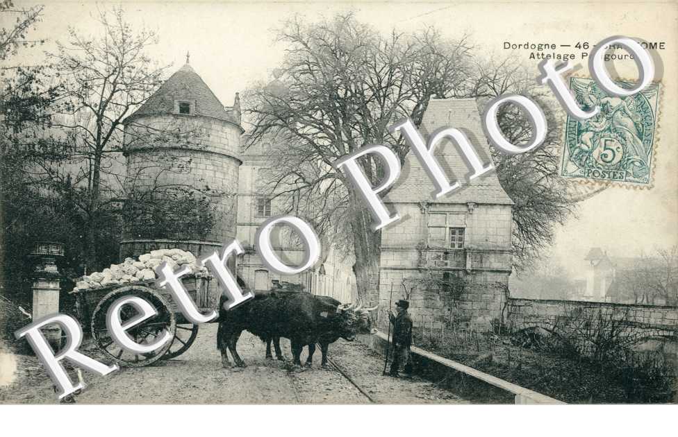 attelage Perigourdin