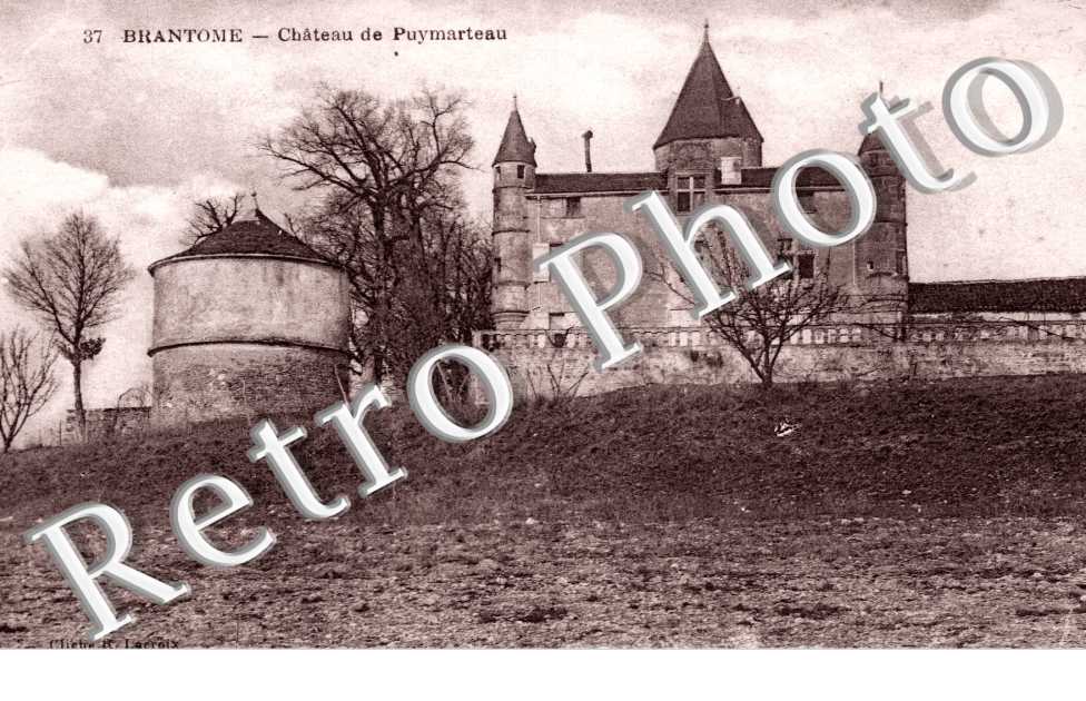 Chateau de Puymarteau
