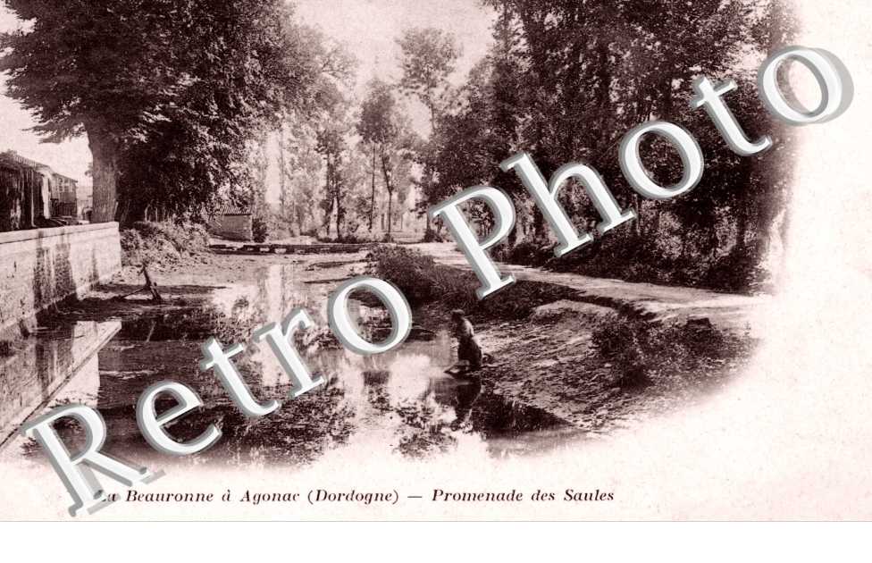 Promenade des Saules
