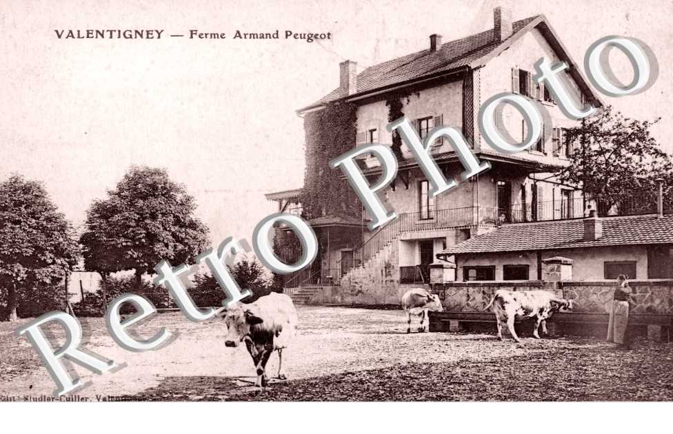 Ferme Armand Peugeot