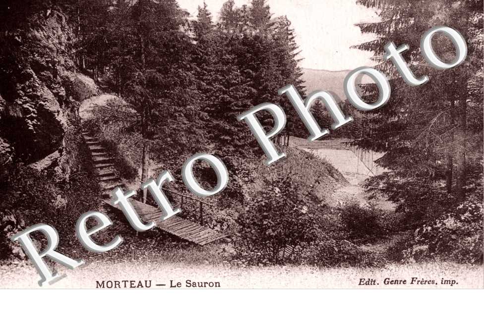 Le Sauron