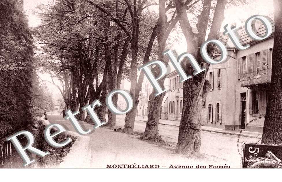 Avenue des Fosses