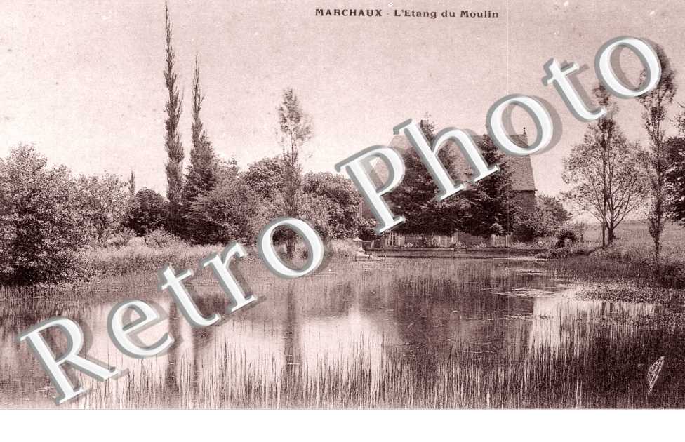 l'Etang du Moulin