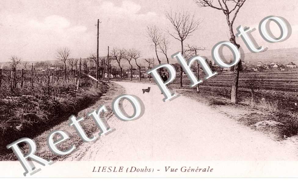 vue generale