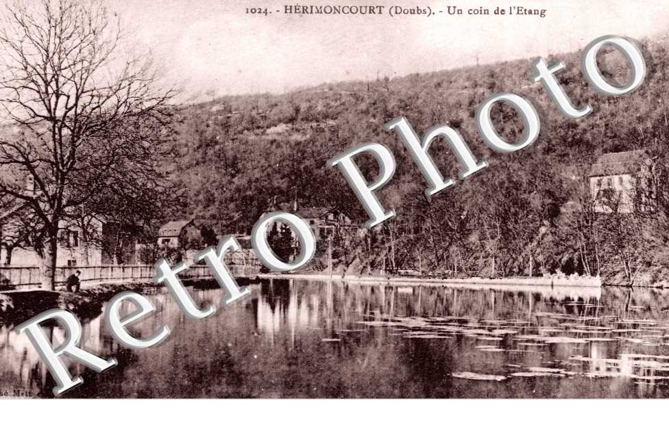 Un coin de l'Etang