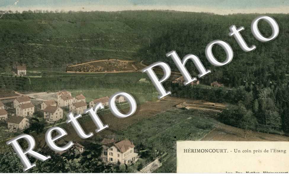 Un coin pr de l'Etang