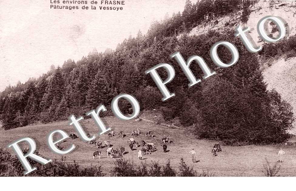 Paturages de la Vessoye