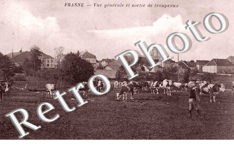 Vue generale et sortie de troupeaux