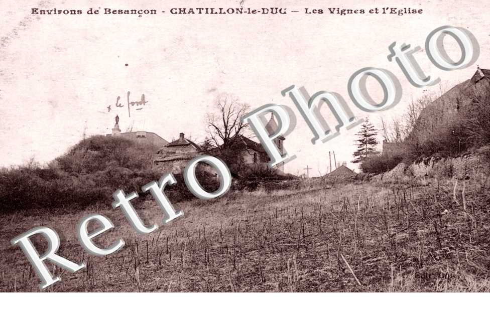 Les Vignes et l'Eglise