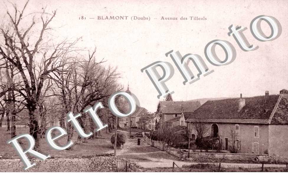 avenue des Tilleuls