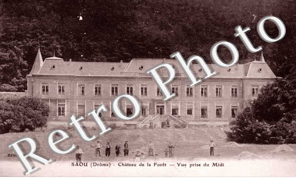 Chateau de la foret