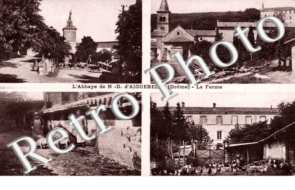Abbaye - la ferme