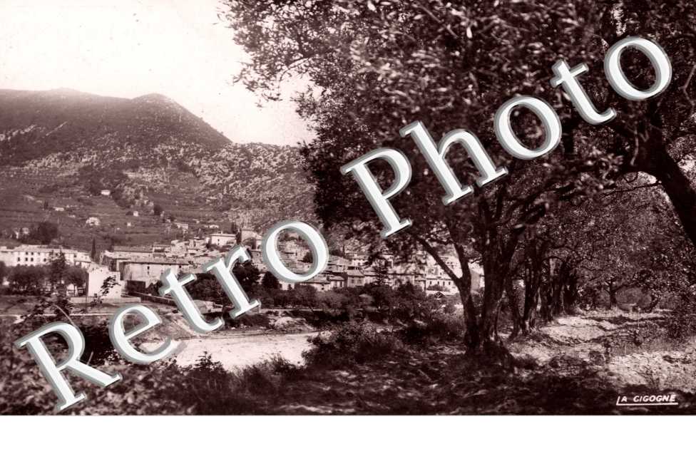 vue generale  de la vieille cite et oliveraie de la route de Vaison