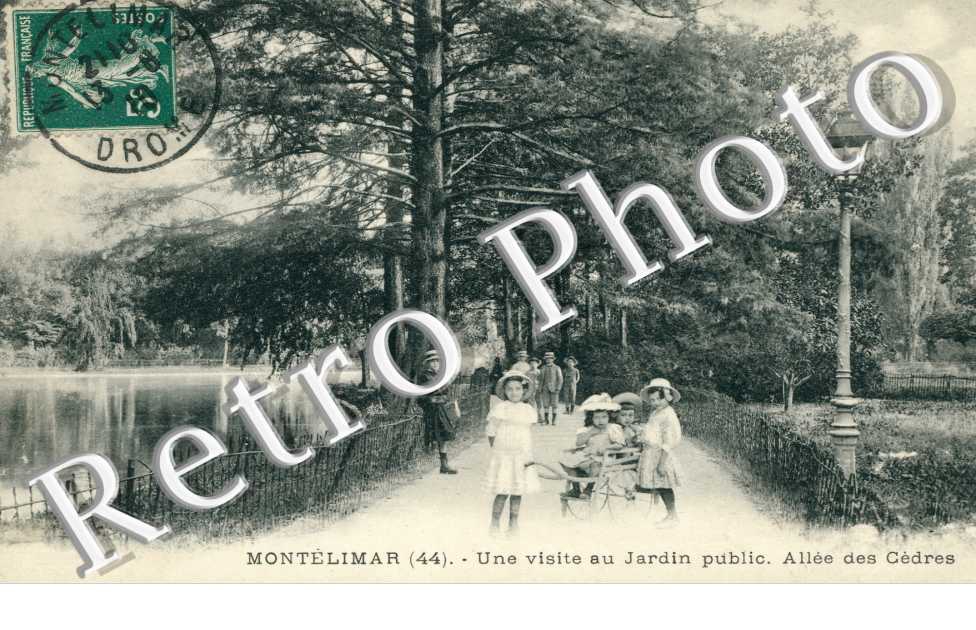 jardin public, allee des Cedres