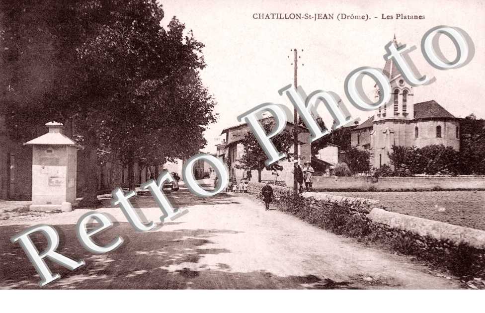 Les platanes