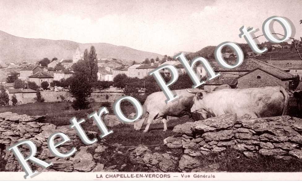 Vue générale 