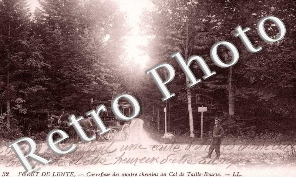 Foret de Lente - Carrefour des quatre chemins au col de Taille-Bourse