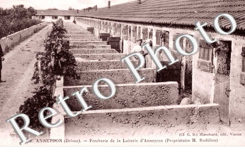 Porcherie de la laiterie