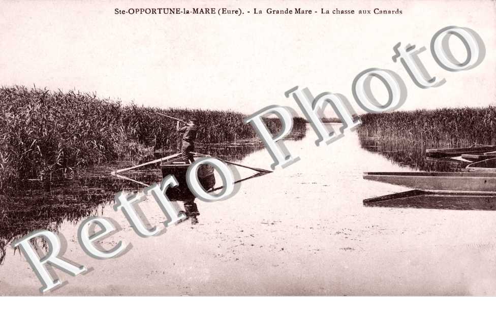 La grande mare - chasse aux canards