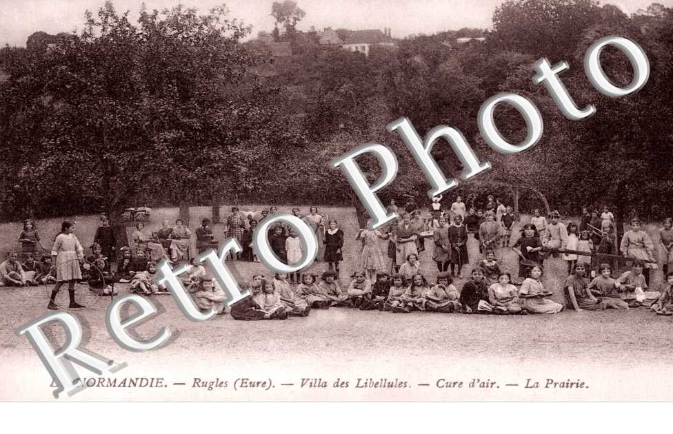 Villa des Libellules - la prairie