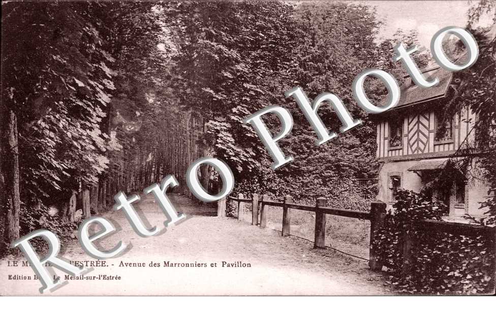 Avenue des Marronniers et pavillon