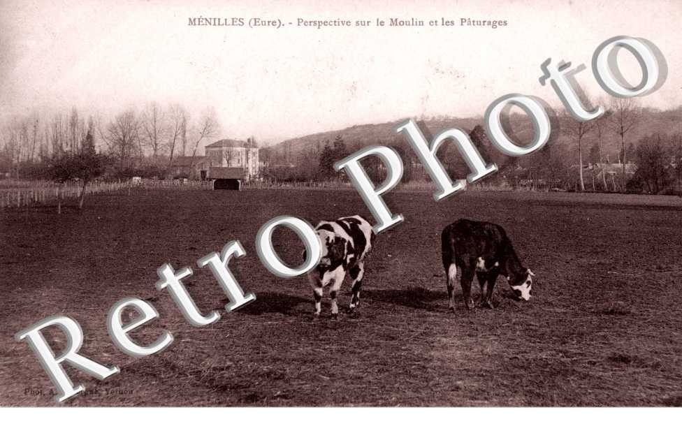 perspective sur le moulin et les paturages