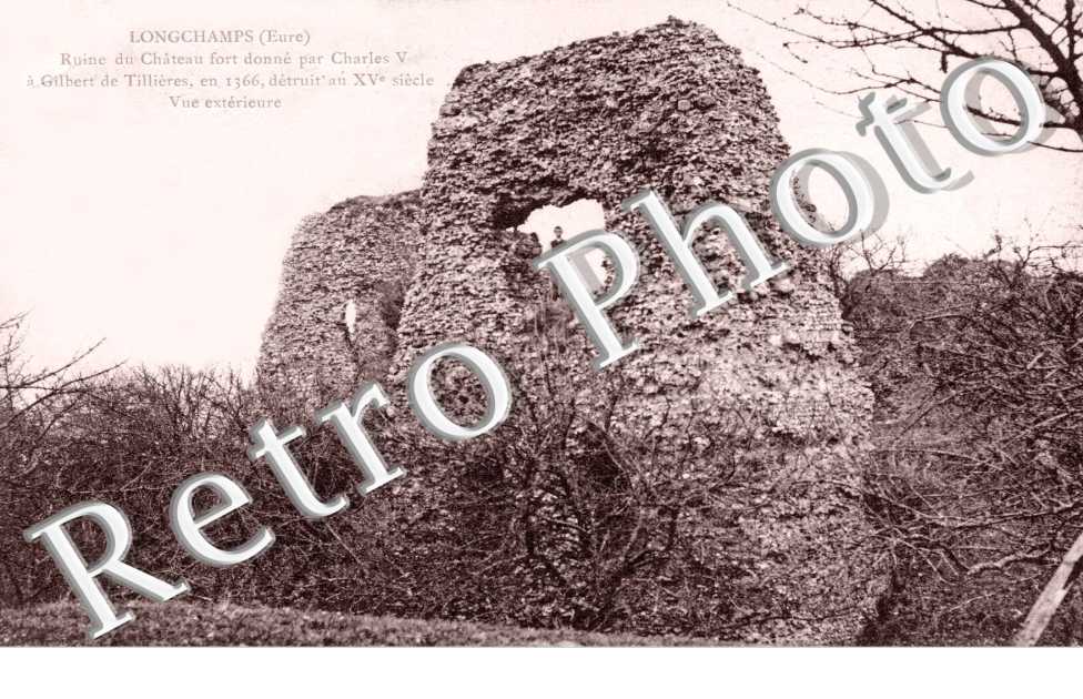 ruines du château fort donné par Charles V à Gilbert de Tillières, en 1366 détruit au XVè siècle. Vue extérieure