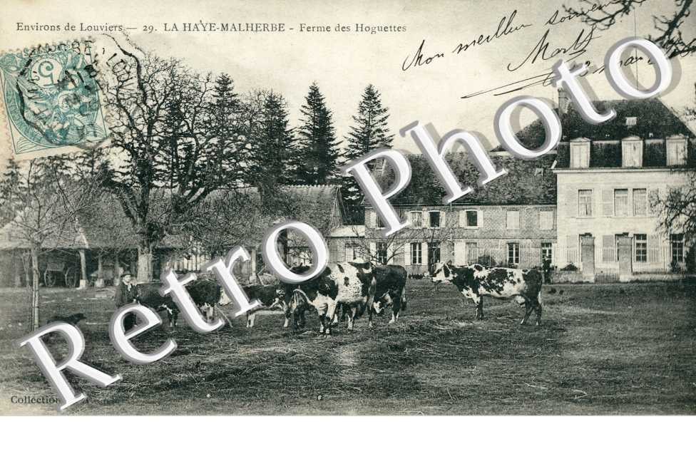 Ferme des Hoguettes